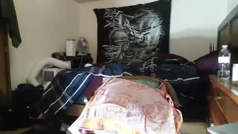 wolfman79 online show from February 12, 11:07 am