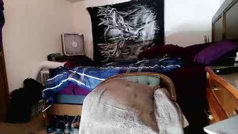 wolfman79 online show from February 25, 12:03 pm