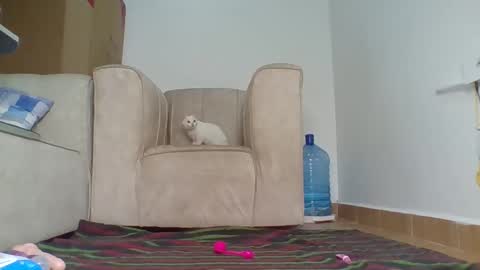 Snapshot of wtfbarbz chatting on October 4, 12:47 pm Barbie online show from October 4, 12:47 pm