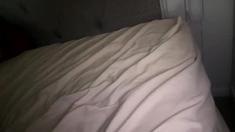 Snapshot of x_dreamgirl_x chatting on January 19, 7:04 am Mariah online show from January 19, 7:04 am