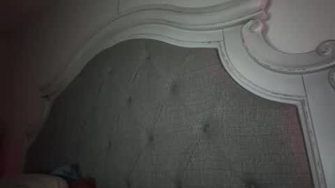 Snapshot of x_dreamgirl_x chatting on February 27, 5:13 am Mariah online show from February 27, 5:13 am