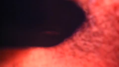 XALLYSONX online show from February 12, 2:21 pm