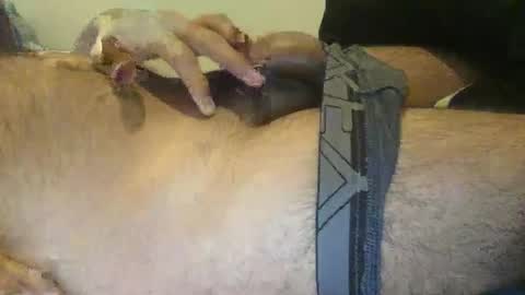 xenextra online show from December 3, 10:39 am