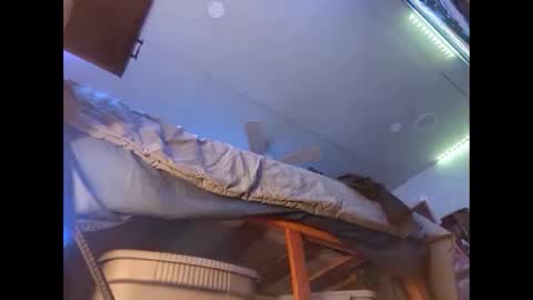 Xzbib online show from December 12, 8:43 pm