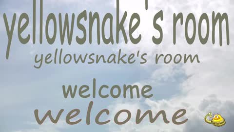 .     y e l l o w s n a k e s       . online show from September 30, 10:37 pm