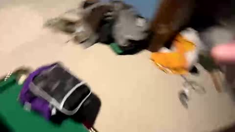 Yesspleasexxp online show from November 17, 5:57 am