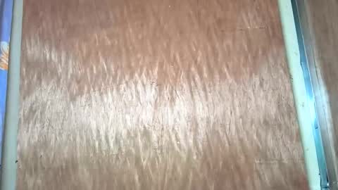 Snapshot of yhang_slut chatting on November 30, 7:34 am yhang_slut online show from November 30, 7:34 am