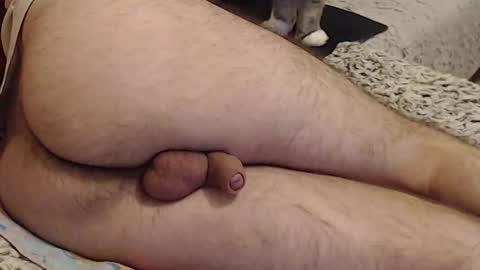 Yowlo online show from September 22, 3:30 am