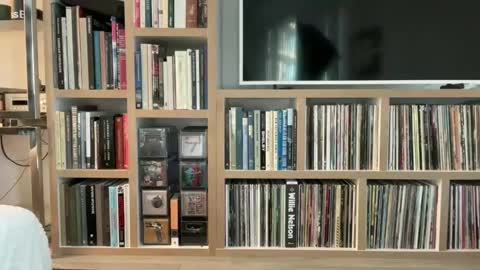 yumiandwolf online show from March 5, 11:16 pm