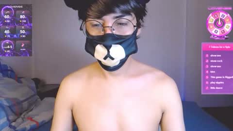 the puppy boy online show from October 29, 3:53 am