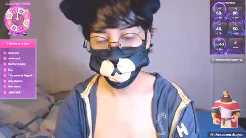 the puppy boy online show from November 28, 3:42 am