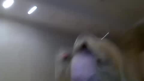 Snapshot of zarinaswift chatting on February 14, 4:47 am Zarina Swift online show from February 14, 4:47 am