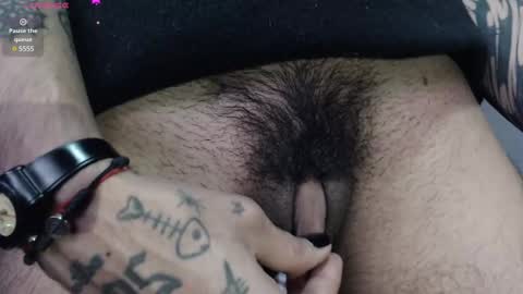 Zeldris online show from February 15, 3:50 pm