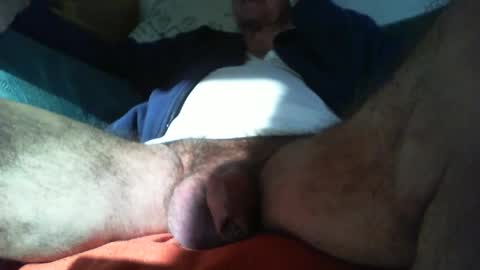 zevioo77 online show from February 16, 2:00 pm