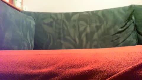 zevioo77 online show from September 18, 8:11 pm