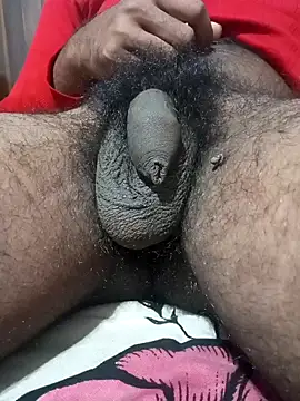 Snapshot of Nishu12356g chatting on January 13, 7:53 pm Nishu12356g online show from January 13, 7:53 pm