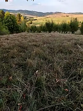 Snapshot of Nishu12356g chatting on September 8, 4:06 pm Nishu12356g online show from September 8, 4:06 pm