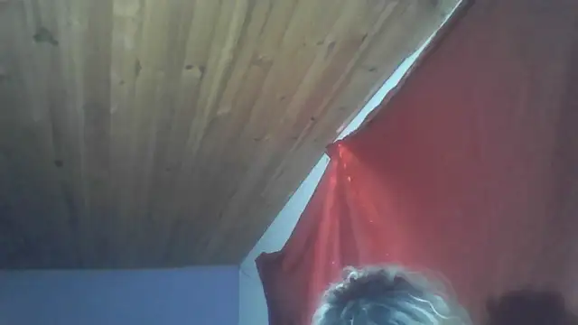 roxana collins online show from October 31, 4:35 am