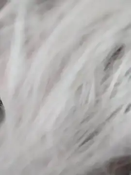 Linda Gregory online show from December 9, 7:39 am