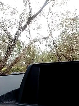 stiffandlubedxh online show from October 21, 9:04 pm