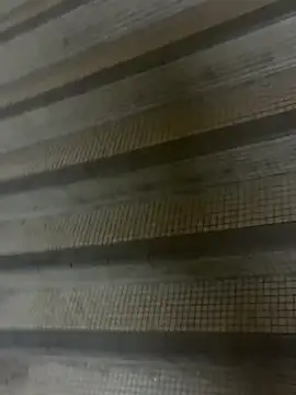 wSilEliaXm online show from September 16, 2:56 am