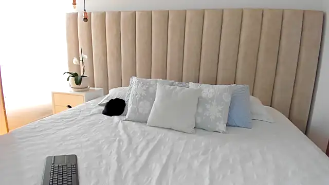 dara   online show from February 1, 8:26 pm