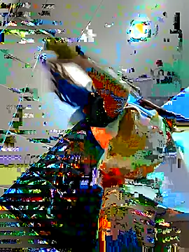 Sam Sara online show from February 16, 5:37 pm