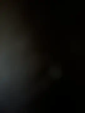 Yurt000 online show from February 3, 7:29 am