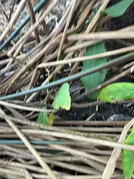 Yurt000 online show from September 11, 3:17 am