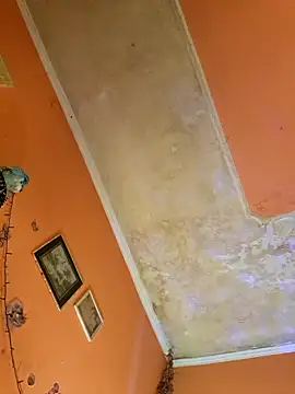 ducicsajsziii online show from January 10, 7:25 am