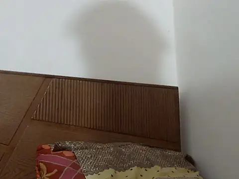 shekira99 online show from September 13, 12:27 pm