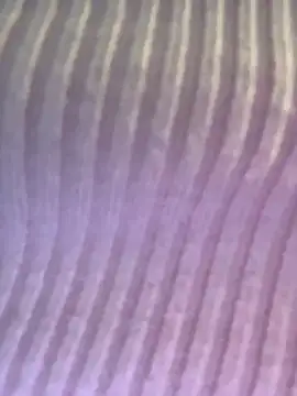 Snapshot of Isabellafantazy chatting on December 16, 4:01 pm Isabellafantazy online show from December 16, 4:01 pm