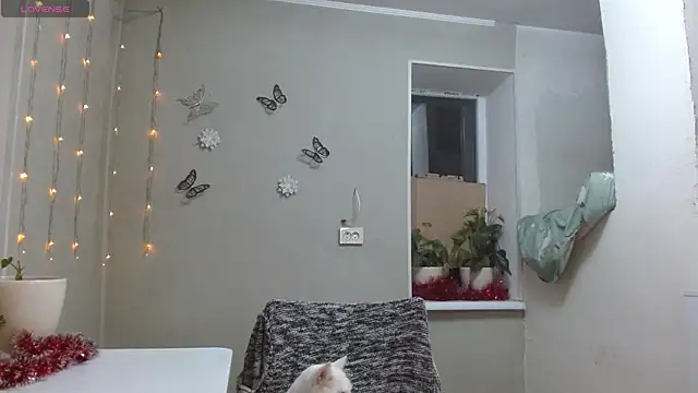 RosaJil online show from December 6, 4:28 pm