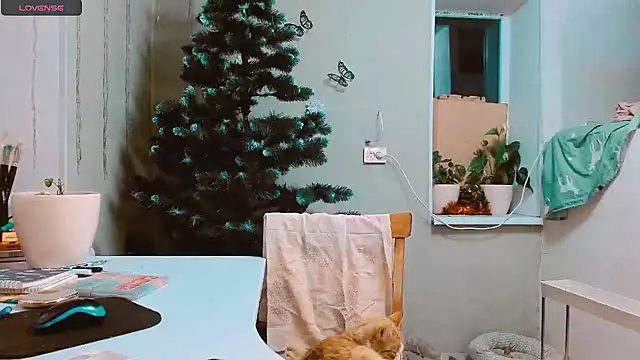 RosaJil online show from December 17, 3:06 pm