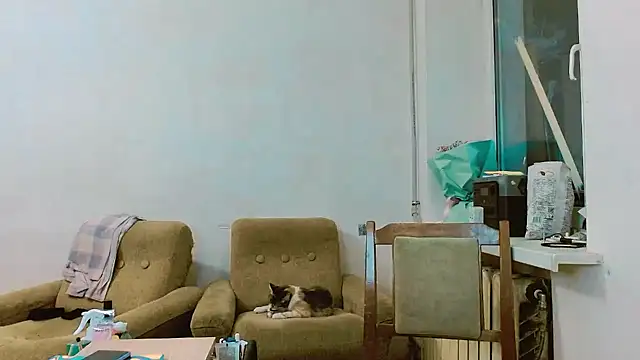 RosaJil online show from February 28, 1:25 pm