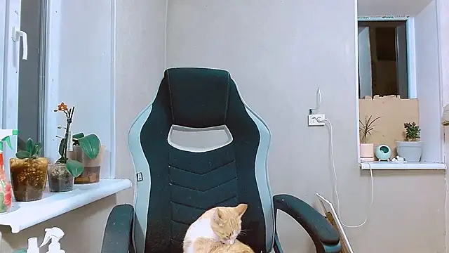 RosaJil online show from September 13, 5:35 pm