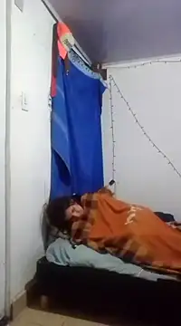 Cameron puppy online show from March 11, 6:53 am