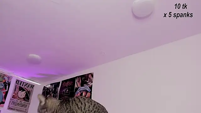 Snapshot of Sachi_Meow chatting on October 26, 12:00 pm Sachi Meow online show from October 26, 12:00 pm