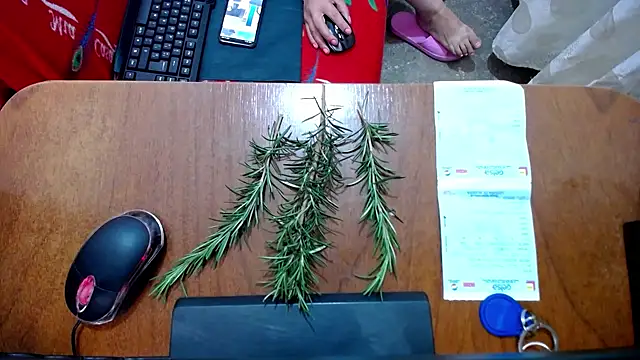 Malaya88 online show from February 16, 4:42 pm