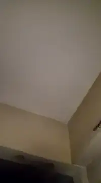 gala2 online show from January 19, 6:31 am