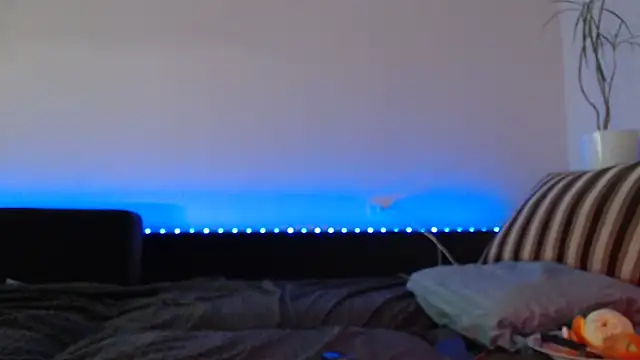 Jinna milli online show from February 4, 10:02 pm