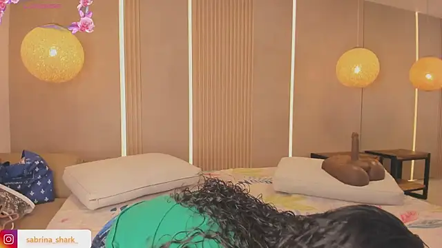 Snapshot of sabrina_shark_ chatting on September 16, 2:01 am sabrina shark online show from September 16, 2:01 am