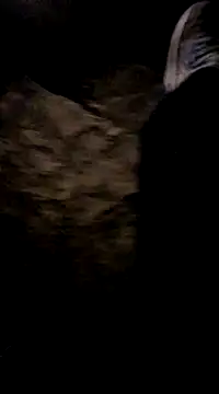 playtyme420691 online show from December 7, 5:15 am