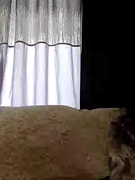 Snapshot of SidneyRaee chatting on February 3, 4:52 pm SidneyRaee online show from February 3, 4:52 pm