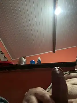 Snapshot of brunogordin69 chatting on September 25, 7:01 am brunogordin69 online show from September 25, 7:01 am