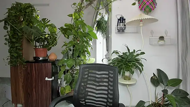 Oliver Nl online show from November 17, 5:24 am