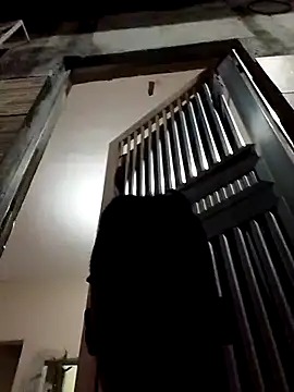 fieltoprj1 online show from December 13, 11:39 pm