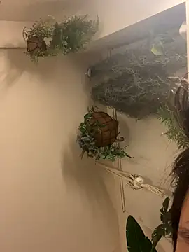 Snapshot of IroManager chatting on September 15, 1:44 pm IroManager online show from September 15, 1:44 pm