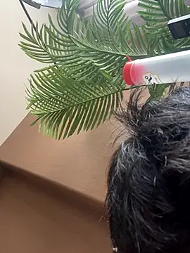 Snapshot of IroManager chatting on September 18, 2:13 am IroManager online show from September 18, 2:13 am