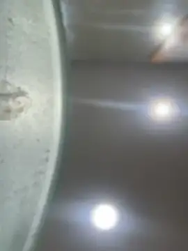 Snapshot of Mila_Morgan chatting on January 23, 1:51 am Mila Morgan online show from January 23, 1:51 am